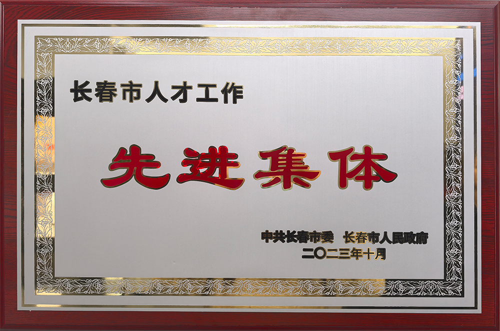 长春市人才先进集体
